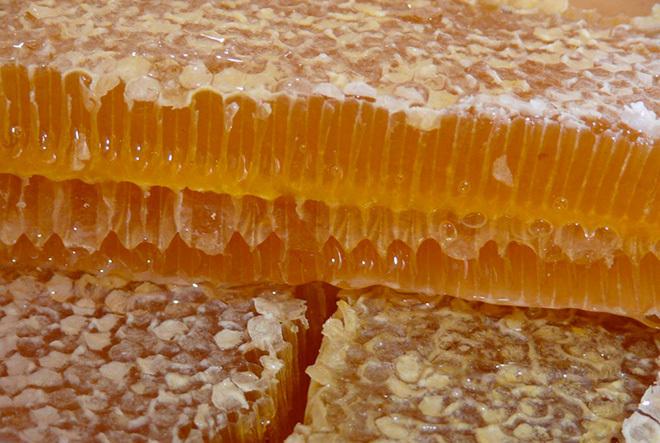 фото мёд в сотах