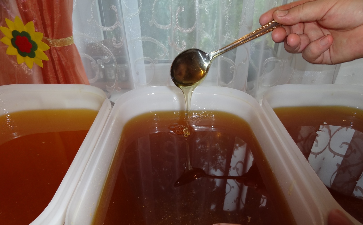 <span style="font-weight: normal;">Натуральный мёд из нектара трав Саратовского Заволжья отличается насыщенным вкусом. В творенье Божьем кладезь силы.</span><br>